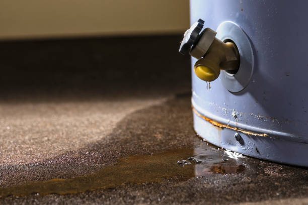 Best Basement water damage restoration  in Schlusser, PA