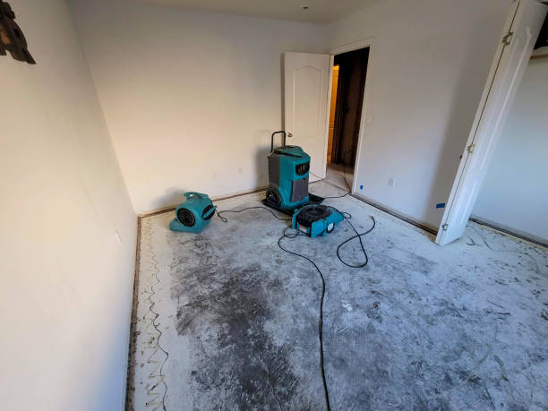 Best Water damage contractors near me  in Schlusser, PA