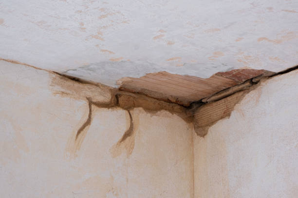 Best Sewage cleanup and water damage restoration  in Schlusser, PA