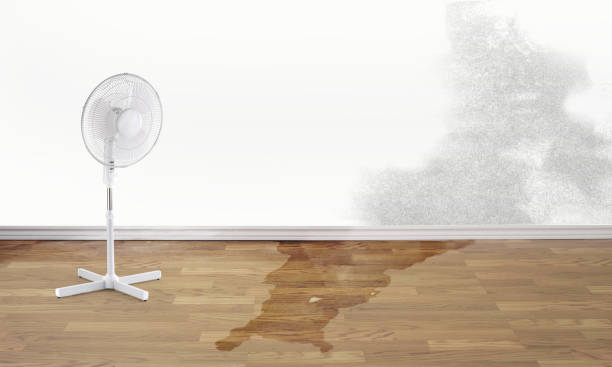 Best Local water damage restoration  in Schlusser, PA